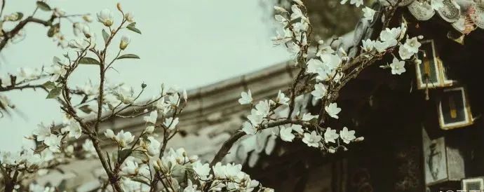 网友清朝版釜山行？于正新剧尽显丧尸既视感，求你放弃阴间滤镜吧