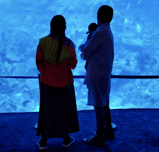 连向太|郭碧婷陪女儿坐旋转木马，向佐在旁暖心保护，两人逗女儿玩乐画面温馨