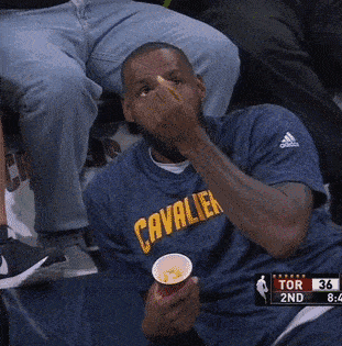 湖人|路人撞脸NBA球星：湖人赛场出现2个詹姆斯，东契奇球迷逗笑本尊
