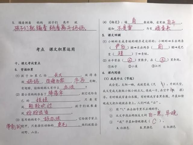 如何最快复习语文 c7e5e56935f14db69eaecc8dc64324ca.jpeg