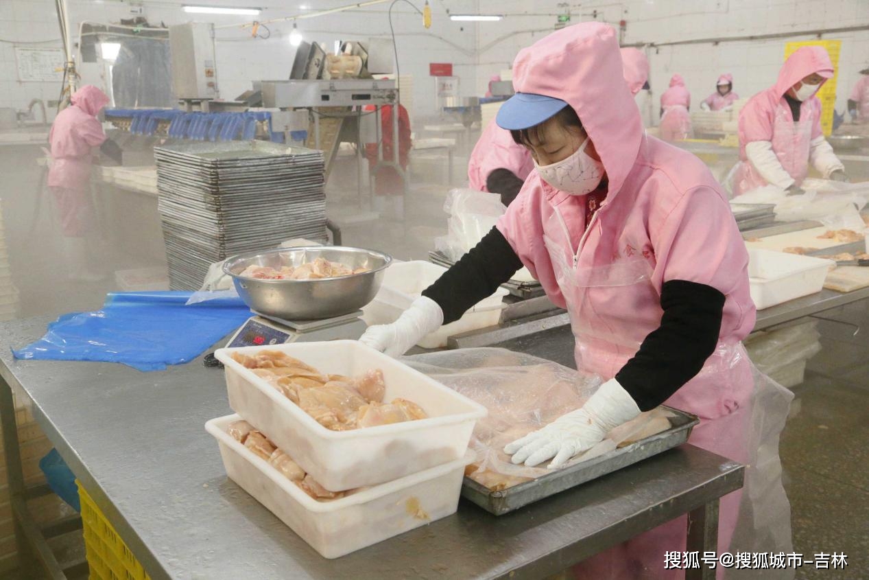 8亿元的德翔牧业亿只肉鸡全产业链,投资1.