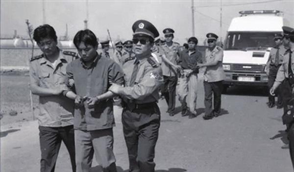 人与狗|93年《老人与狗》大火，未曾想狗主是杀人狂魔，人与狗都被枪毙