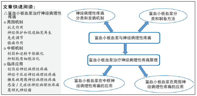 富血小板血浆在神经病理性疼痛中的应用 感觉神经