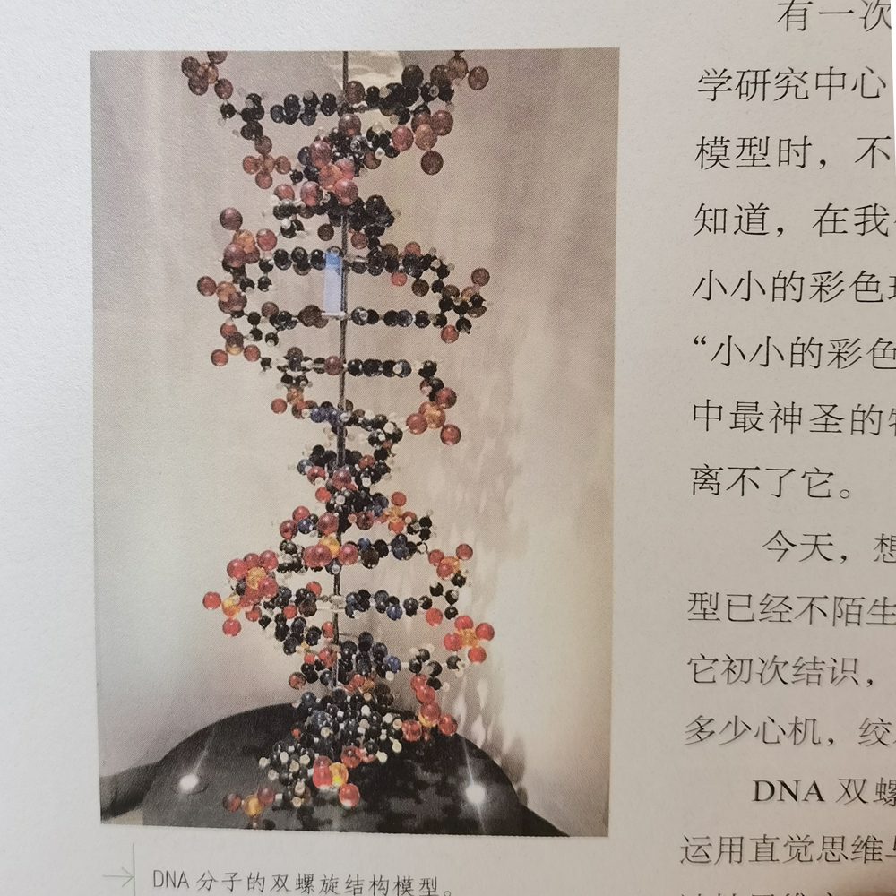 血液循环学说"却直到1875年才得到全面证实,西班牙医生塞尔维特还为此