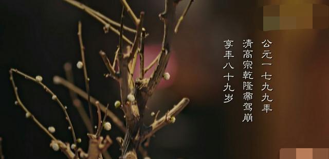 梅花|《如懿传》结局时，霍建华眼前的绿梅发芽，这预示着更大的悲剧