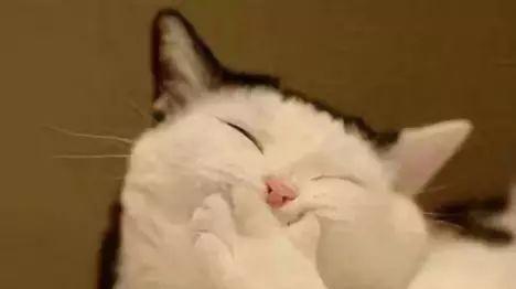 角色|穿越到唐代一路开挂，这部剧男主的锦鲤指数堪比魏璎珞