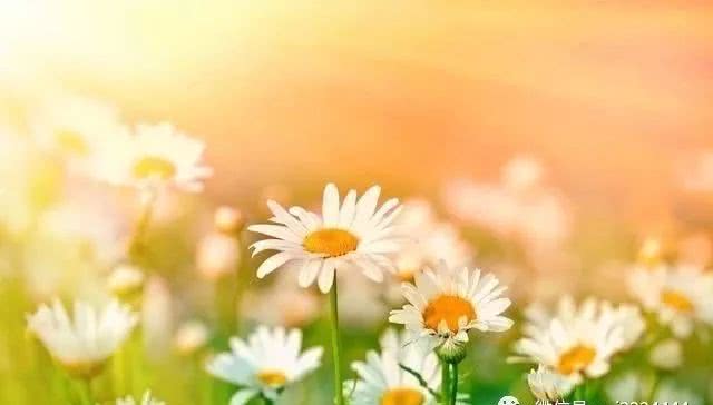 水是什么颜色五行属什么 0045a9e2326e412596fd0f3e7e1d6727.jpeg