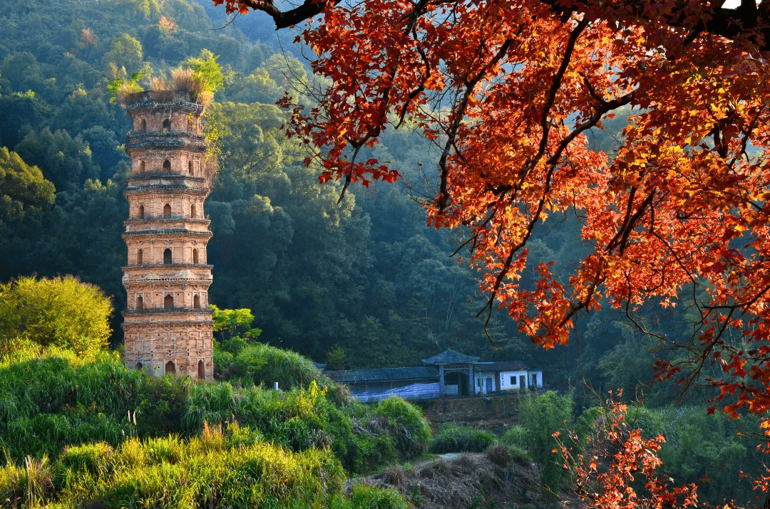 鄉村振興看曲江:大塘鎮四大景點有韻味_湯溪