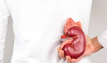 肾脏|早起上厕所，出现3种症状，可能尿酸“结晶”了，需注意肾衰竭