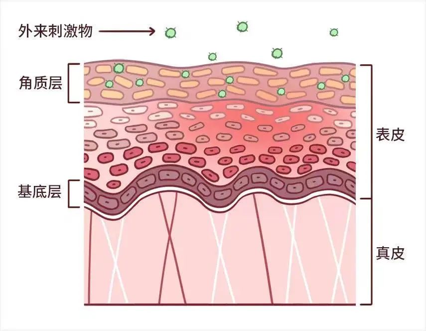 知识科普太阳升汇美提醒不要再无效敷面膜！分享你几个实用技巧