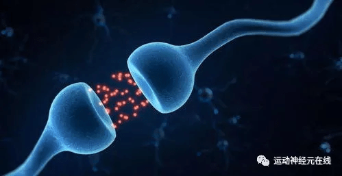 神经系统|今日热点丨上下运动神经元的区别是什么