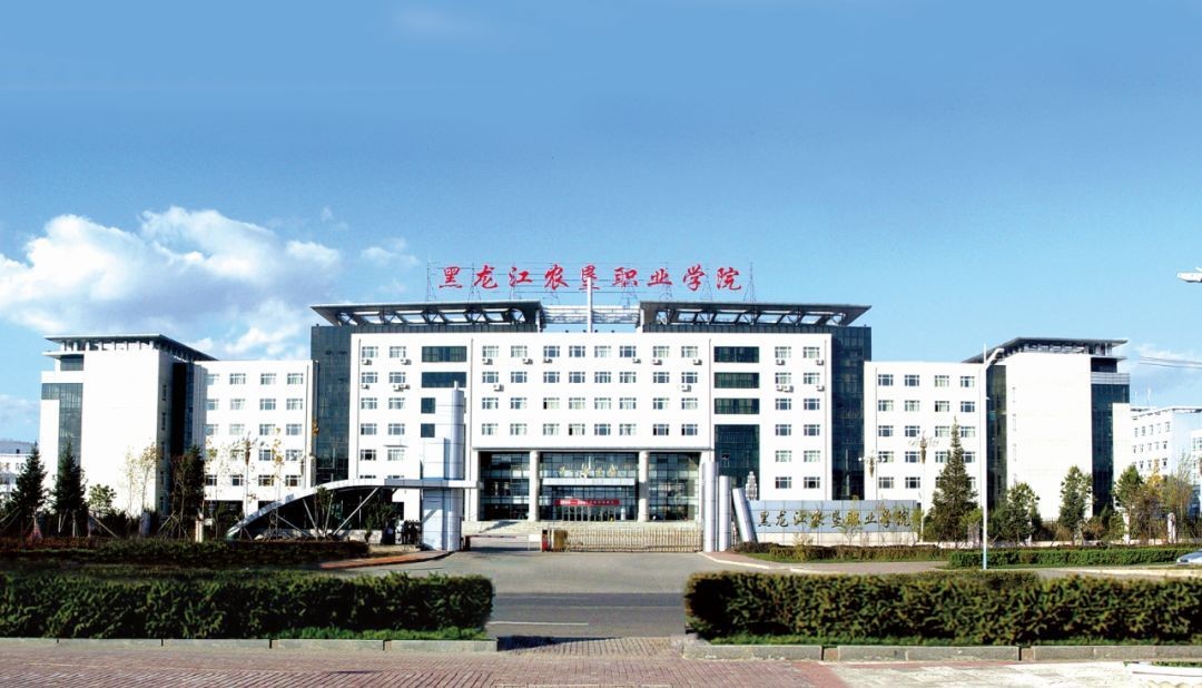 什么是高等职业学校 a949ef99235d430fb7d5e3696256e85f.jpeg