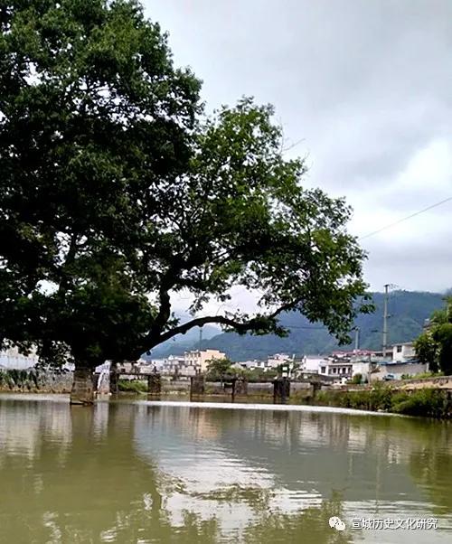 邻里|款款邻里情，拳拳乡土心——浅谈瑞川柯家与胡适的关系（上）