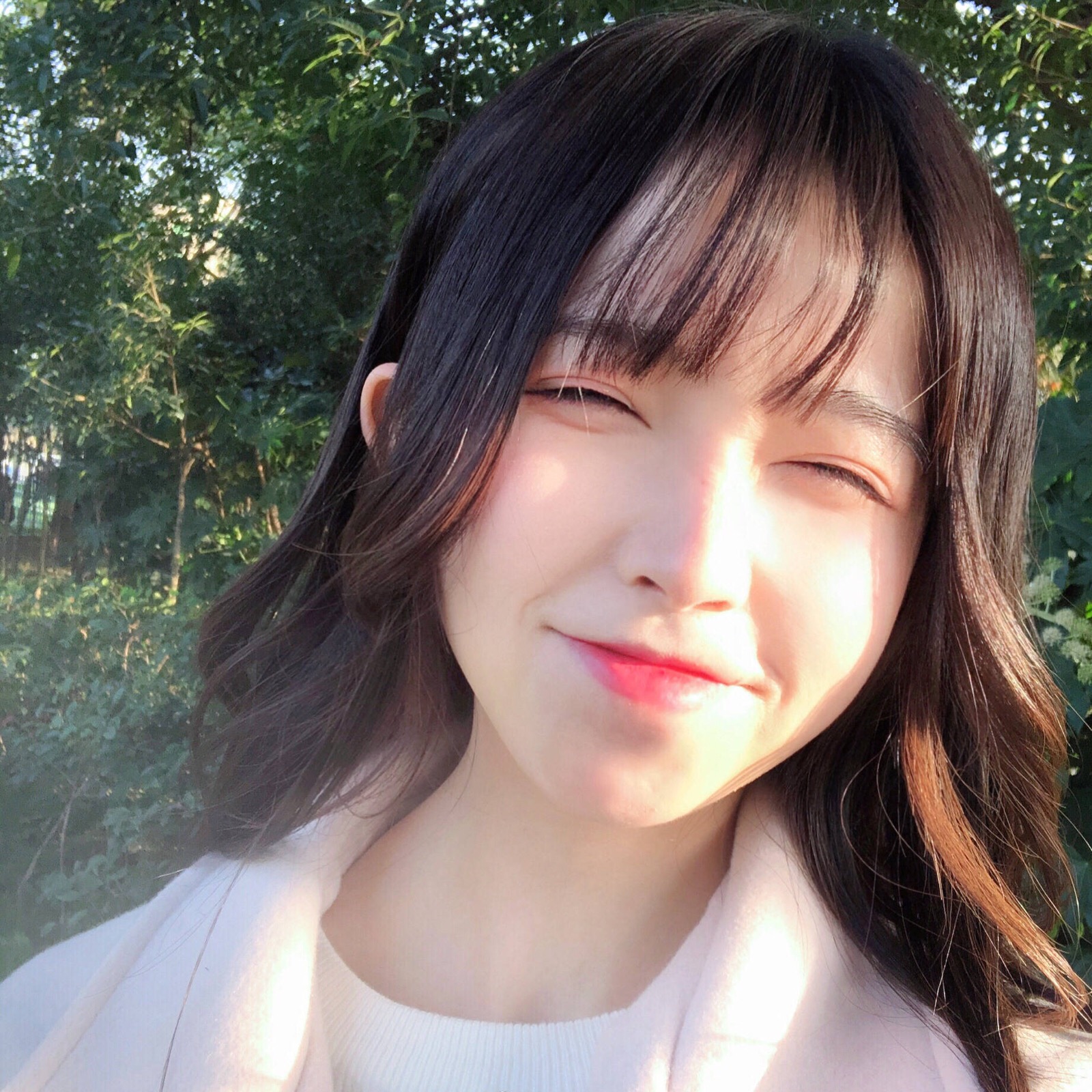 原创2022年生肖鸡的运气好不好工作发展机会多多