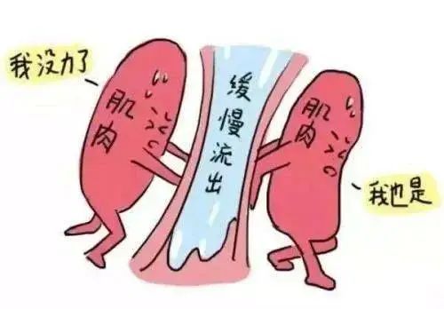 难产史者，造成盆底、膀胱颈、尿道等组织损伤，可使盆底支托组织松弛。