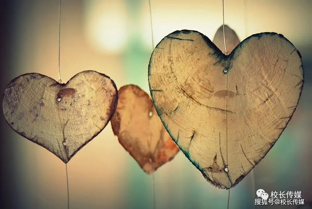 怎么样才能找到真心 1908f9942387456bb6067ecf425e9b75.jpeg