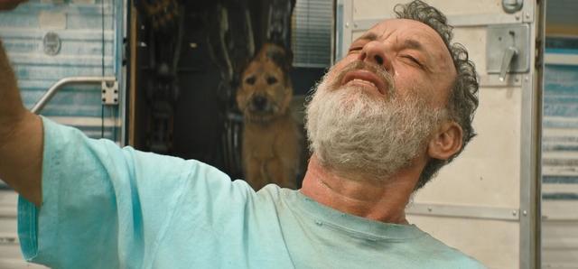 机器人|汤姆·汉克斯2021最新科幻《芬奇》幸存者、机器人和狗的公路狂奔