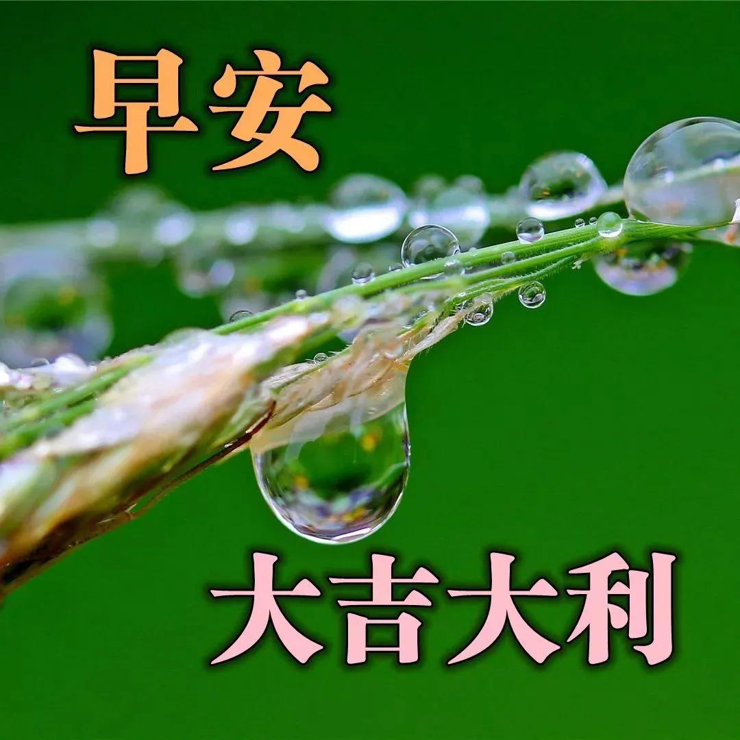 11月1日朋友圈早晨好祝福语动态图片 2021清晨早上好祝福语录图片_是