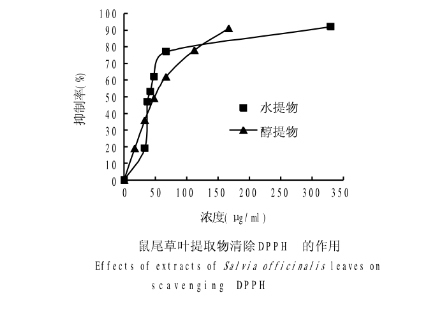 薰衣草澄澈控油——蓝桉叶和它的小伙伴们