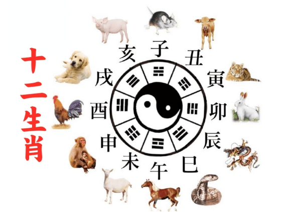 丑牛,寅虎,卯兔,辰龙,巳蛇,午马,未羊,申猴,酉鸡,戌狗,亥猪把十二生肖