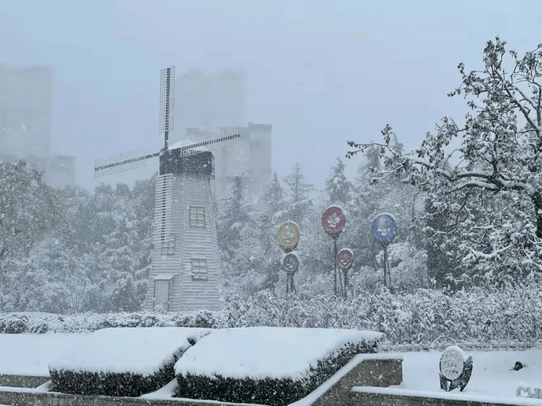 雪花|如约而至！近十年最早初雪光临济南，快收好这份雪景大赏，足不出户看雪映泉城