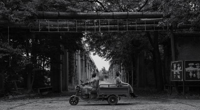 电影|《导演请指教》：吵架比影片好看，导演比演员卑微，就着弹幕更香