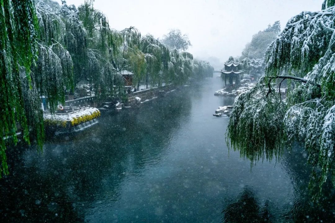 雪花|如约而至！近十年最早初雪光临济南，快收好这份雪景大赏，足不出户看雪映泉城