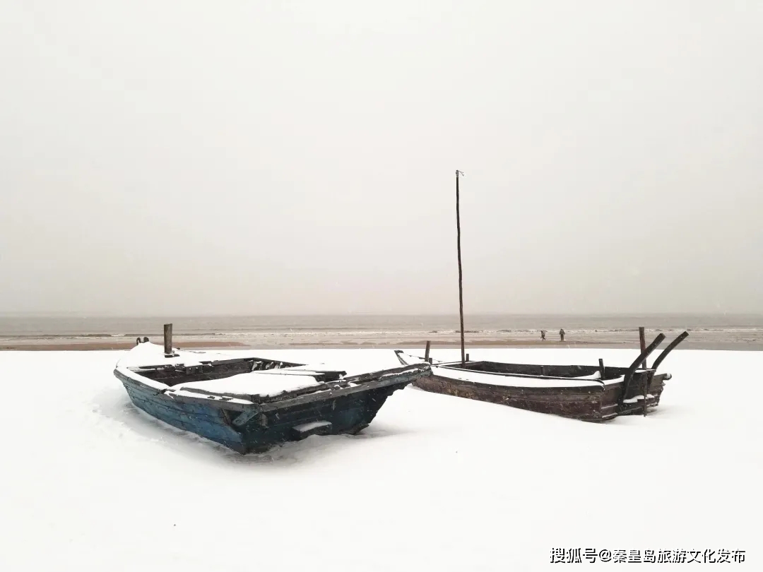 控制|秦皇岛初雪！惊艳四方的美景都在这儿了~