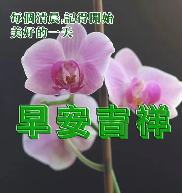 2021新年早安唯美图片图片