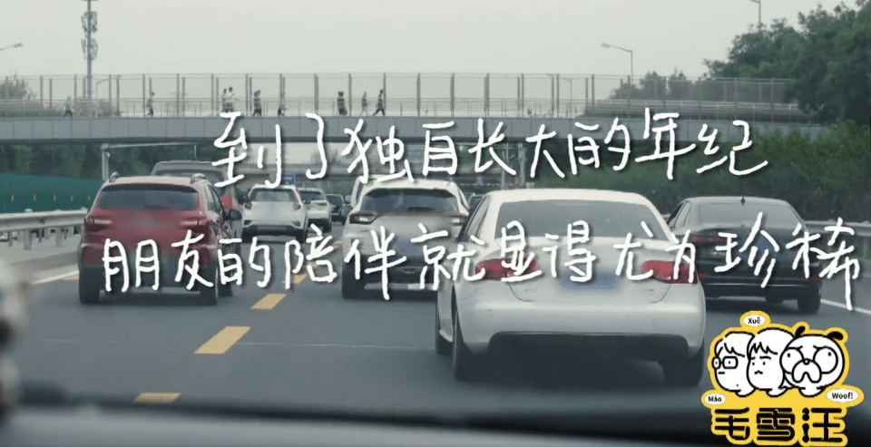 什么|《毛雪汪》第2期:吃货的委婉对话方式,只要能吃到,那就够了