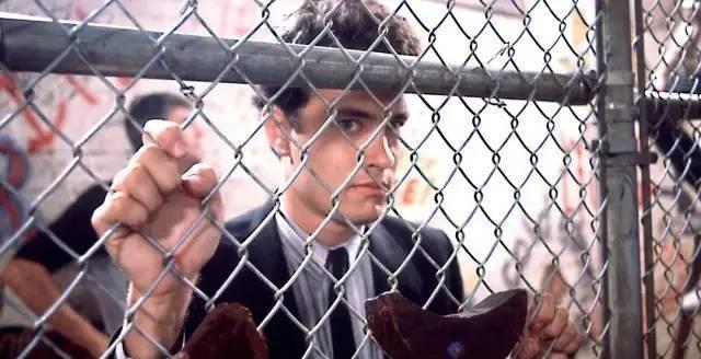 治愈|不愧是汤姆·汉克斯，撑起了人、狗、机器的末日旅程