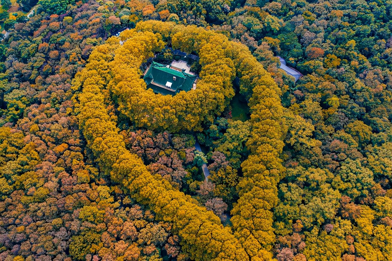 原创11月的南京,美龄宫就成了秋冬美景的天花板