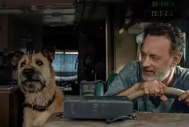 机器人|疲了一年的好莱坞大片，终于支棱起来了，豆瓣8.3分《芬奇》来了