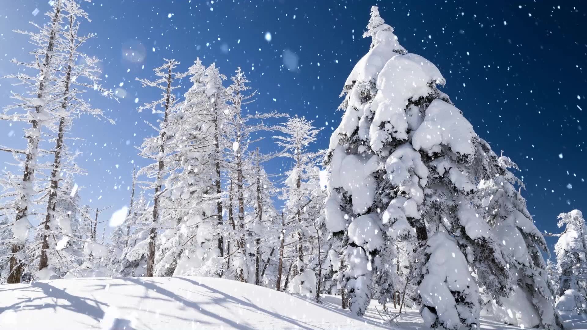 芭乐兔丨素装银裹大雪天孩子要注意什么