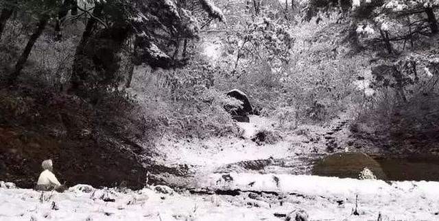 情侣|电影私藏丨30部适合情侣一起看的爱情电影