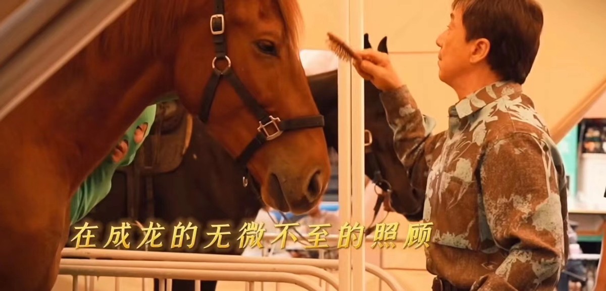 电影|成龙新片一匹马火了！电影杀青大家给它喂蛋糕，大哥还给它擦眼泪