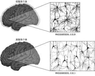 大脑|好好的孩子，为啥一读书就犯困？没想到原因在这儿……