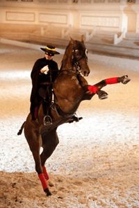 电影《龙马精神》“东方威尼斯”杀青，海澜飞马水城引众星打卡游览