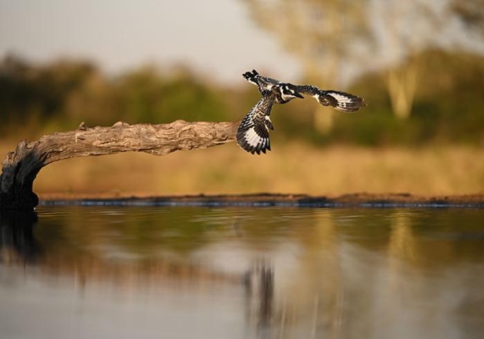 汇集领先技术 冲破创作想象 尼康Z 9开发者访谈