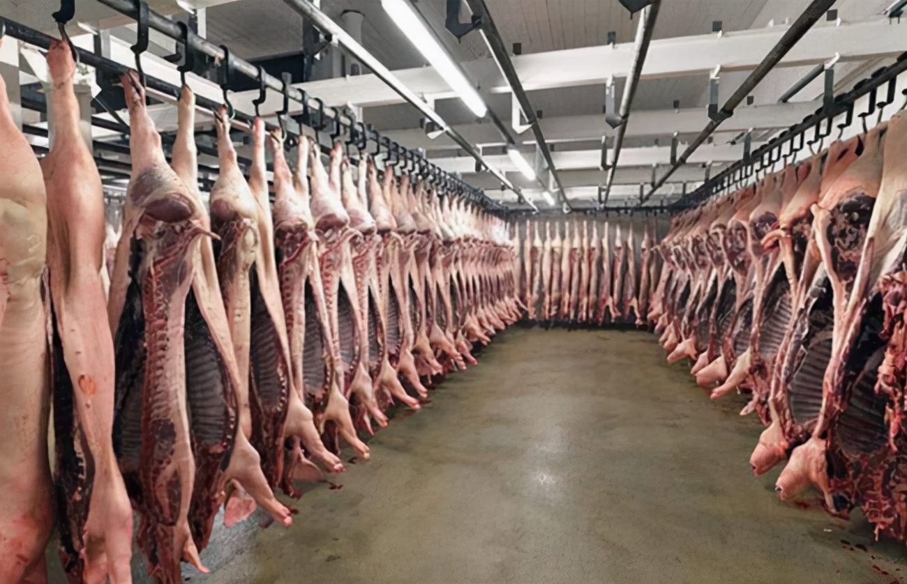 美国猪肉一斤才卖4元,到底是如何养猪和杀猪的?才会如此便宜