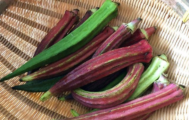 面包|夏天，我家早餐常吃它，比蛋糕面包强，10分钟上桌，热量低不发胖