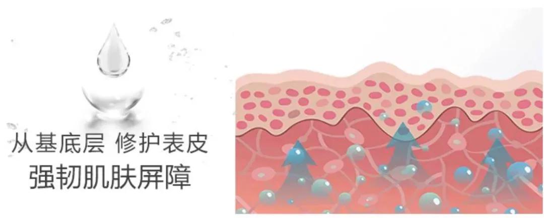 方法闭口，痘痘、敏感肌、暗沉，怎么破？