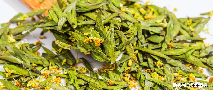 熟普|一天12个时辰，最适合喝茶的时间是……