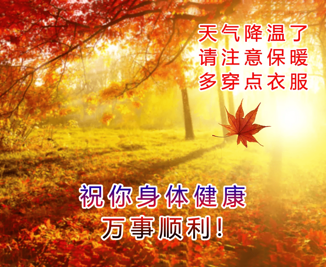 秋天十月最美的早上好问候语图片大全，早晨好阳光祝福语图片表情合集-搜狐大视野-搜狐新闻