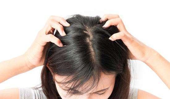 现在研究发现,生姜中含有一种姜黄素,会抑制毛发生长,引起永久性脱发