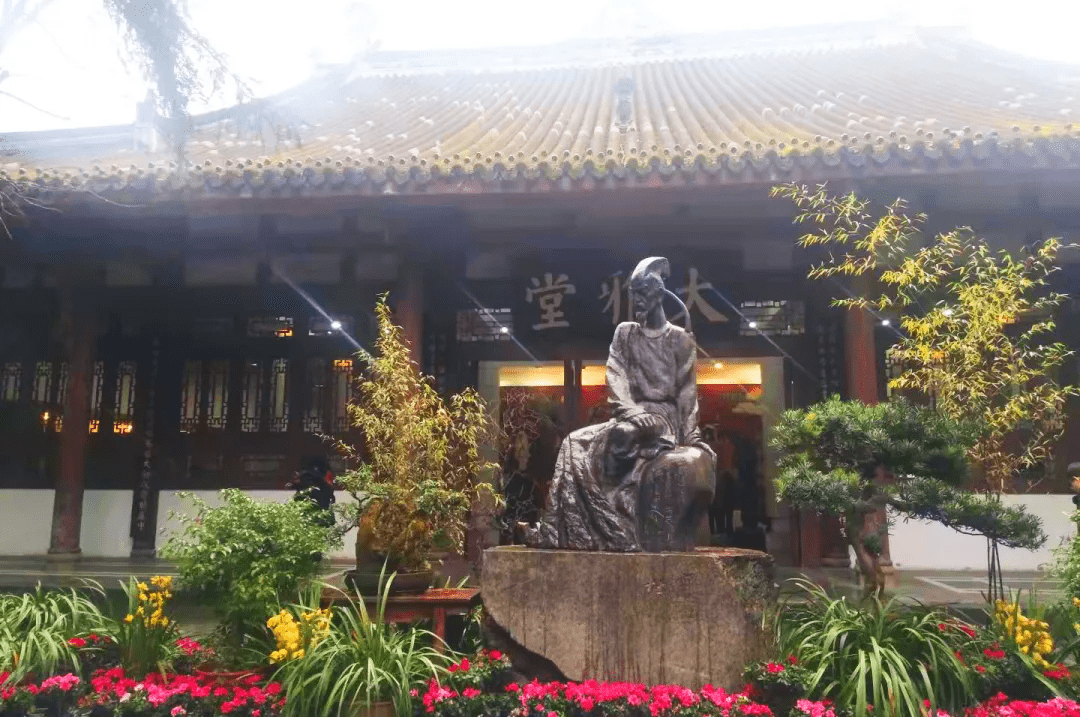 什么|甲友心声——切了这只蝴蝶，我还有很多翅膀