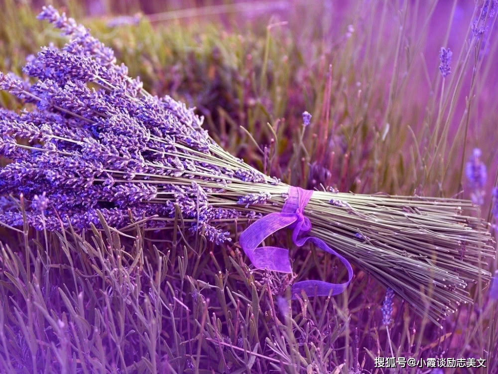 11月15日起 红鸾星照耀 桃花围绕的星座 将成双入对 琴瑟和鸣 双子座