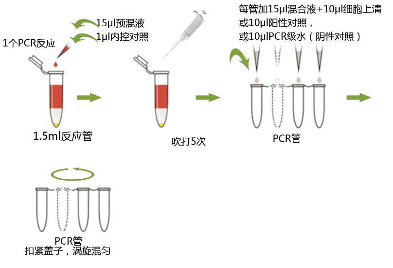 支原体qpcr检测试剂盒的特点及操作步骤