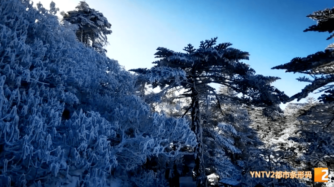 局部|刚刚！昆明这里下雪了！