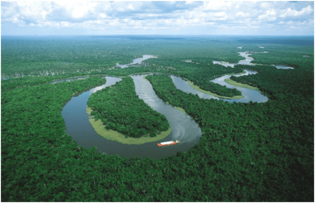 亚马逊河有多危险？为何连当地人也不敢下河？